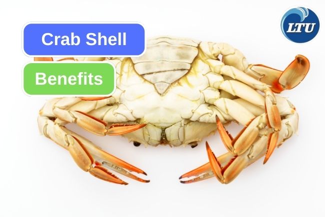 This Is What Crab Shell Waste Can Turn Into